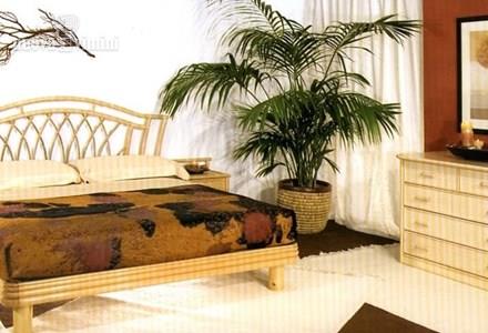 LETTO ANTEROS JAMAICA GIUNCO